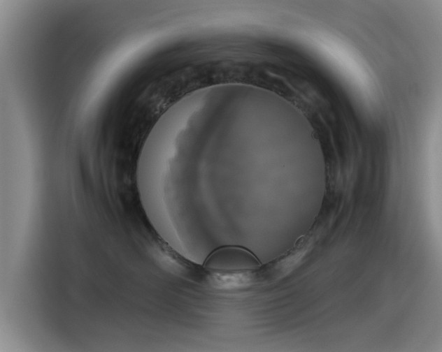 X0000115660526200911191008