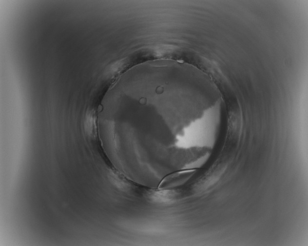X0000115660527200911191008