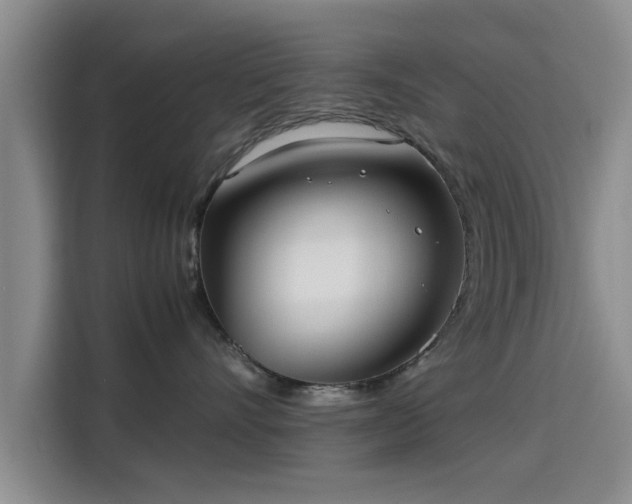 X0000115660528200911191008
