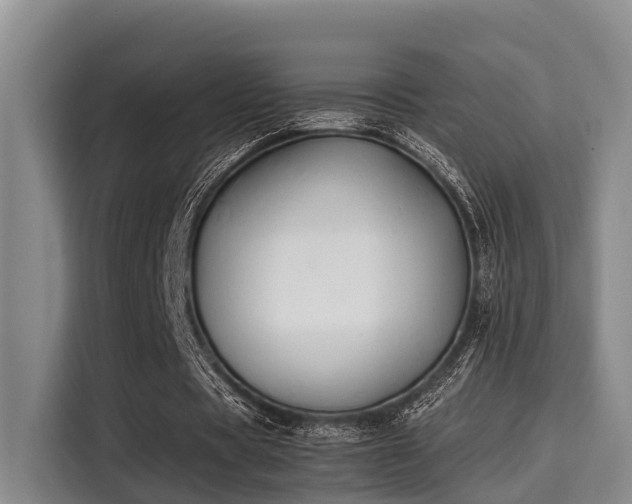 X0000115660529200911191007