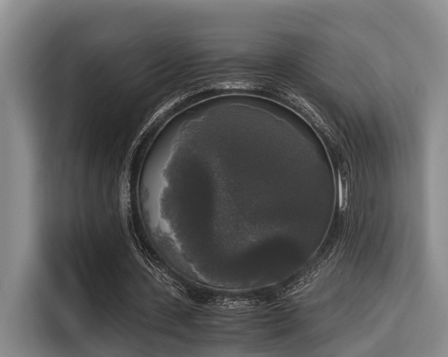 X0000115660531200911191007