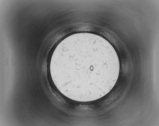 X0000115660534200911191007