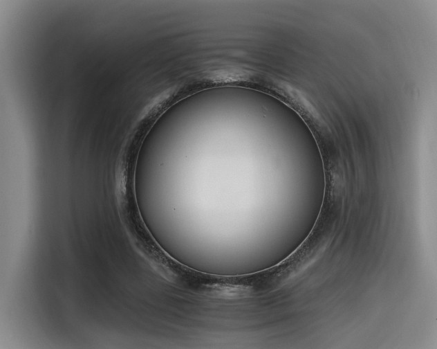 X0000115660539200911191007