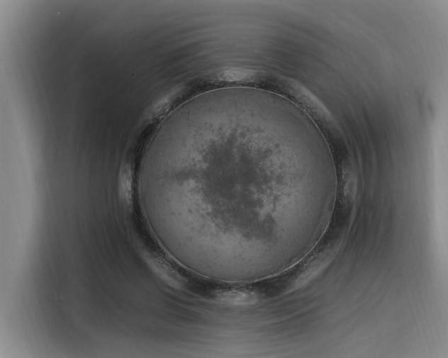 X0000115660542200911191007