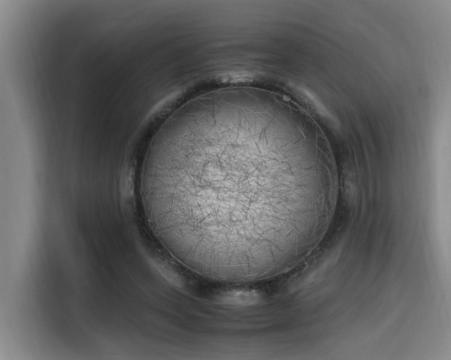 X0000115660543200911191007