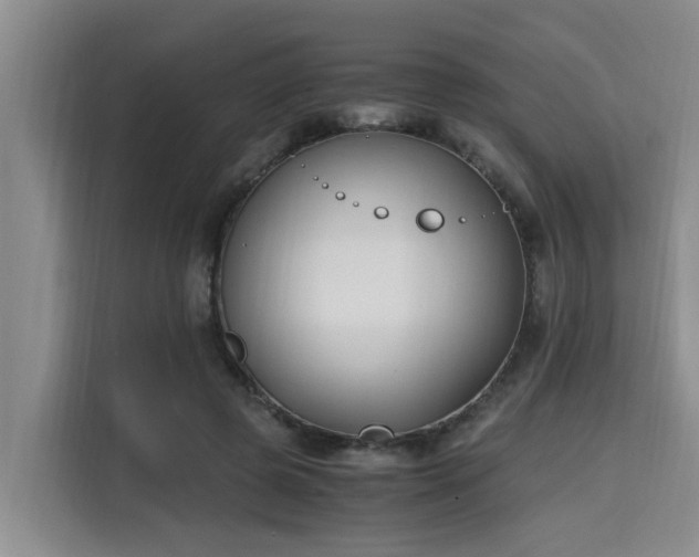 X0000115660545200911191007
