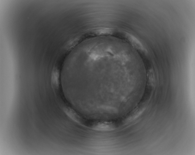 X0000115660550200911191007