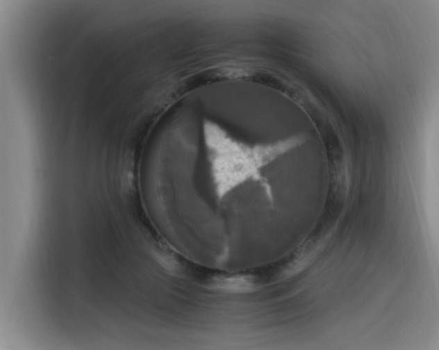 X0000115660553200911191007