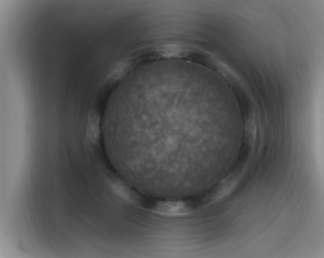 X0000115660554200911191007