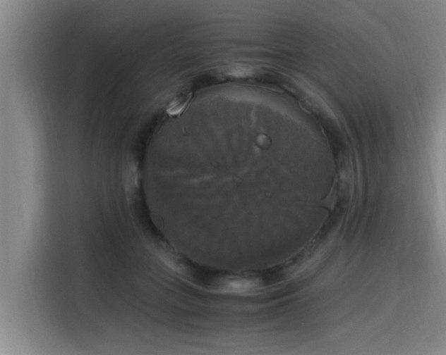 X0000115660555200911191007