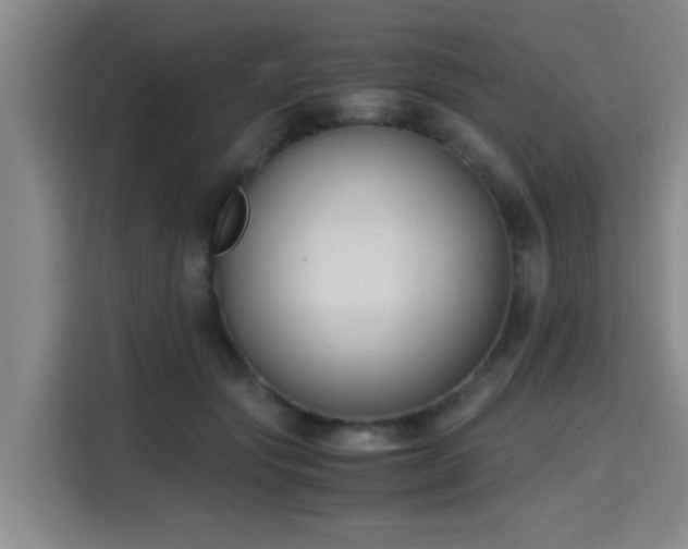 X0000115660557200911191007