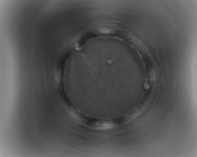 X0000115660559200911191007