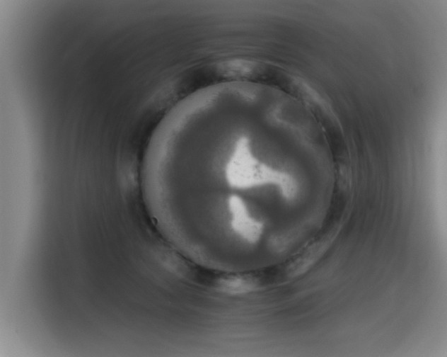 X0000115660561200911191007