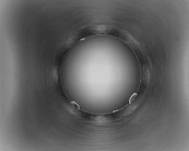 X0000115660562200911191007