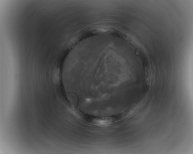 X0000115660563200911191007
