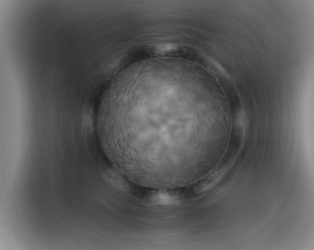 X0000115660565200911191007