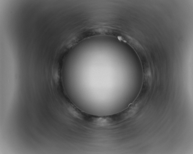 X0000115660566200911191007