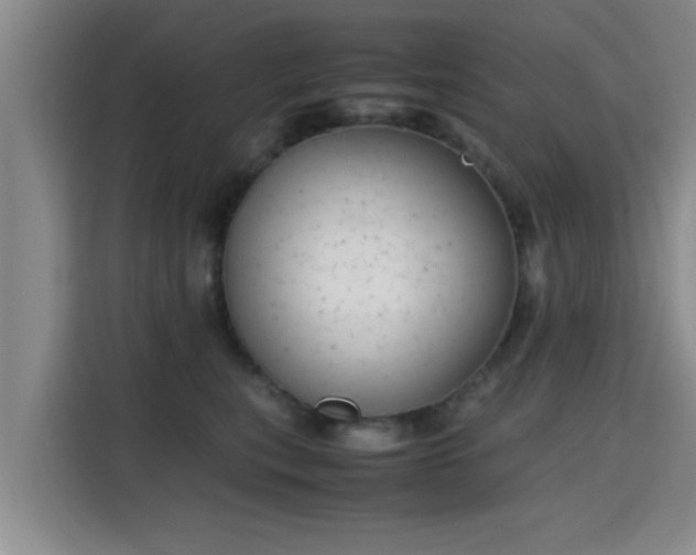 X0000115660567200911191007