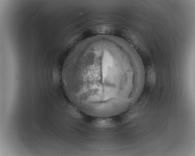 X0000115660569200911191007