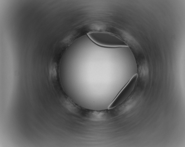 X0000115660570200911191007