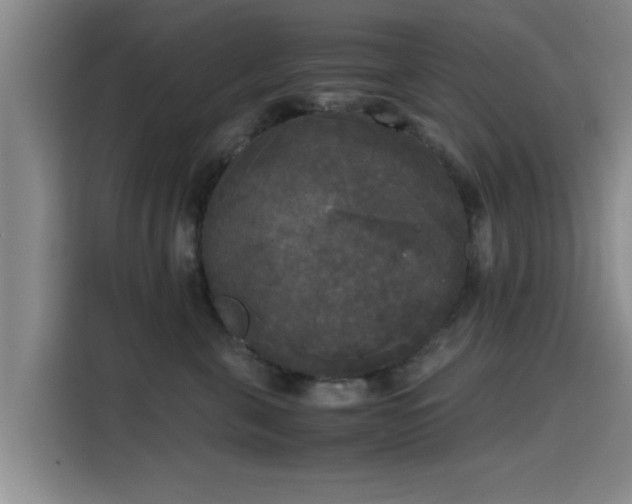 X0000115660571200911191007