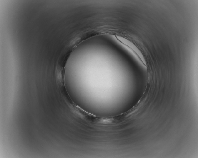 X0000115660573200911191008