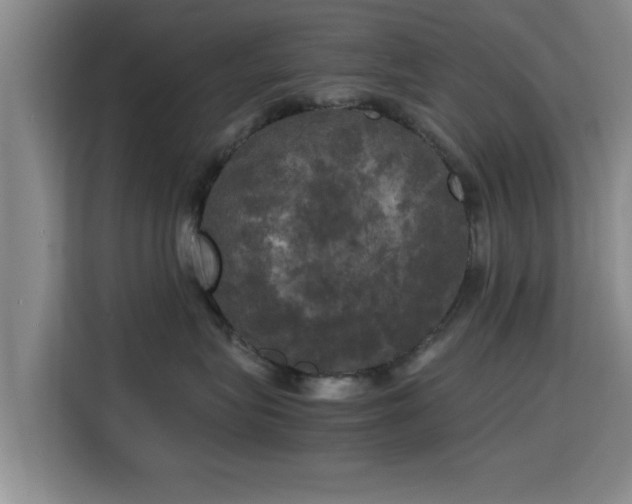 X0000115660575200911191008