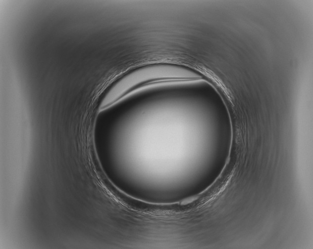 X0000115660577200911191007