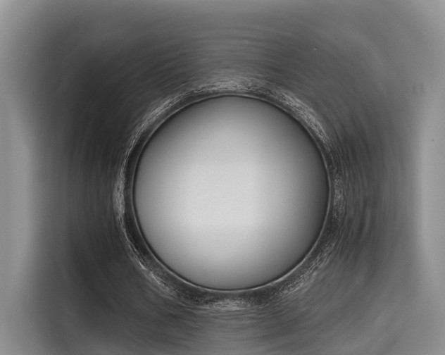 X0000115660578200911191007