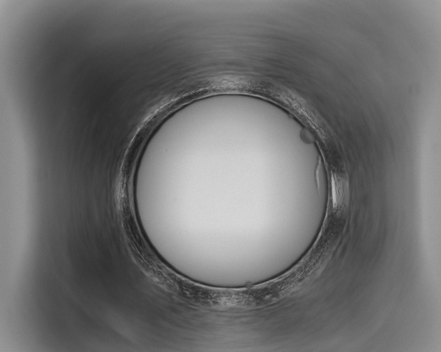 X0000115660579200911191007