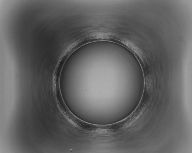 X0000115660581200911191007