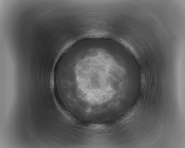 X0000115660582200911191007