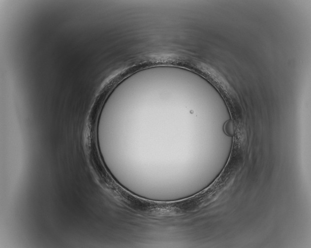 X0000115660583200911191007