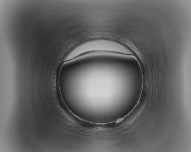 X0000115660585200911191007