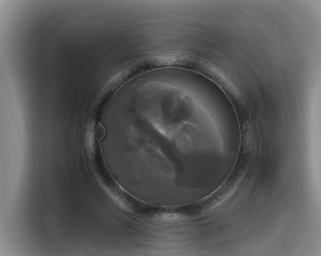 X0000115660590200911191007