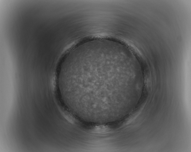 X0000115660591200911191007