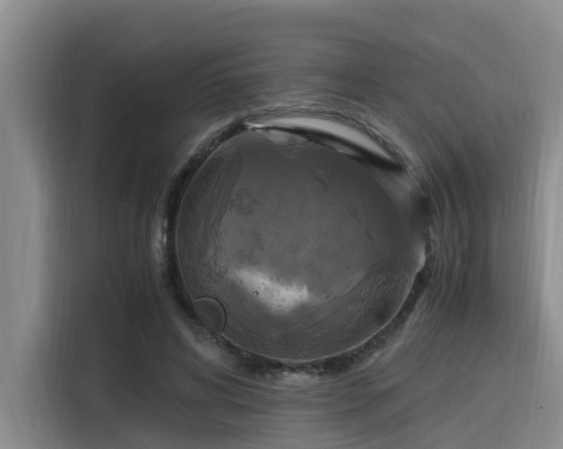 X0000115660592200911191007