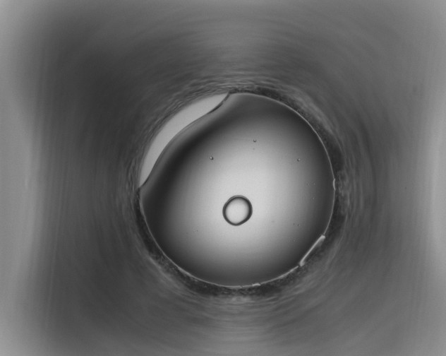 X0000115660593200911191007