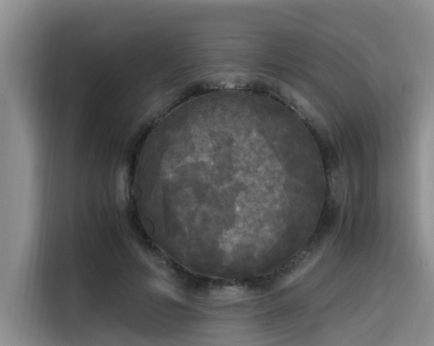 X0000115660594200911191007