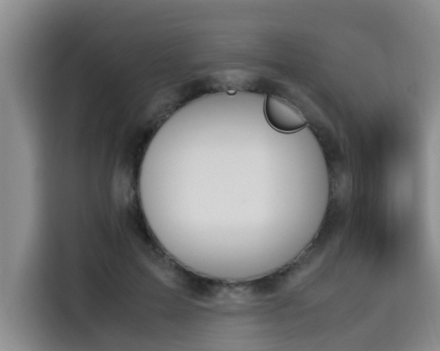 X0000115660599200911191007