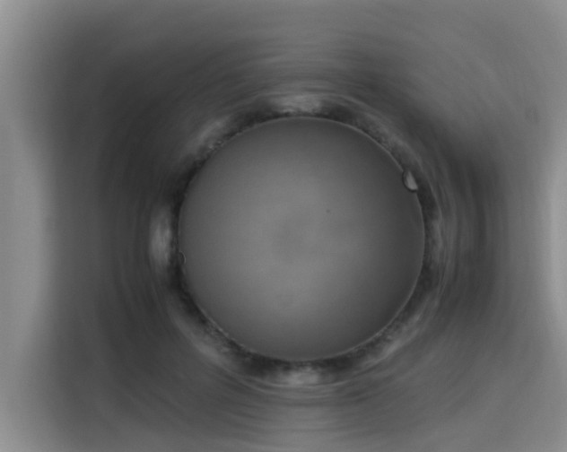 X0000115660600200911191007