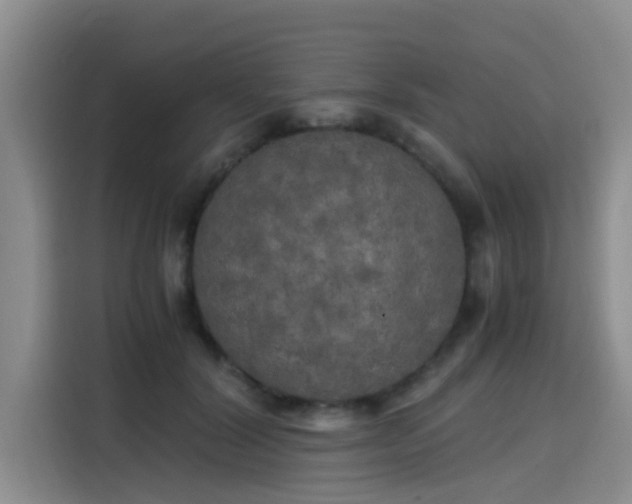 X0000115660604200911191007