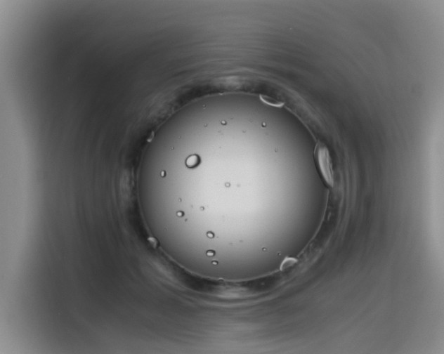 X0000115660605200911191007