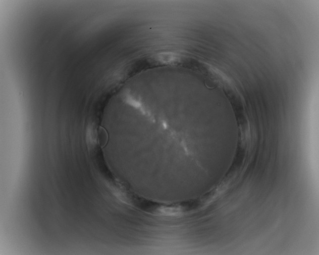 X0000115660606200911191007
