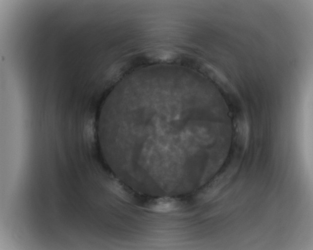 X0000115660612200911191006