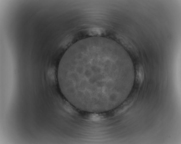 X0000115660616200911191006