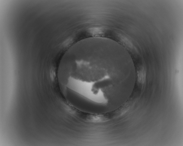 X0000115660618200911191006