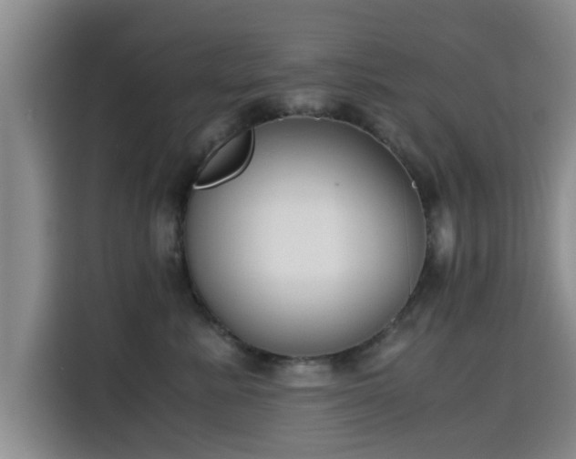 X0000115660619200911191006
