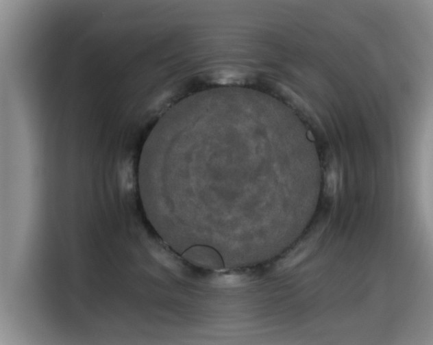 X0000115660620200911191006