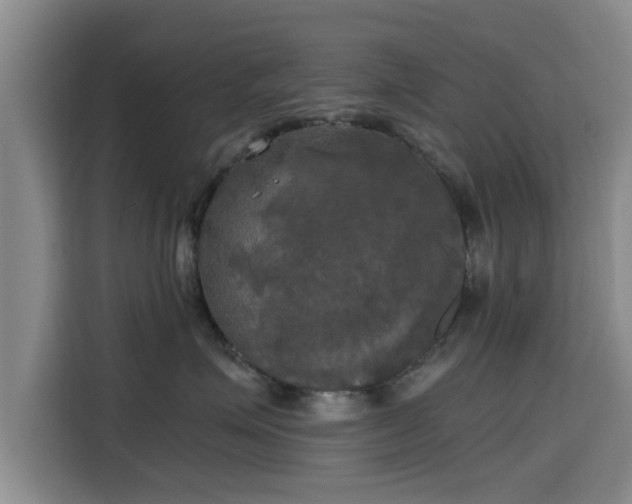X0000115660623200911191006